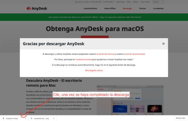 anydesk online sin descargar anydesk online sin descargar